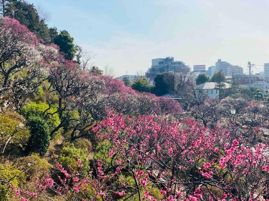 Appartement 【広々一軒家】帰国者歓迎！最大9名!空港直通＆山手線すぐ！ファミリー向け80m2庭付き大福ハウス *